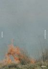 Rinko Kawauchi, Ametsuchi